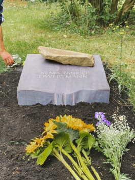 The gravestone at Friedrichswerder Cemetery with the sandstone sculpture on top and engraved name “Xenia Taniko Dwertmann”. Fresh flowers lie in front, while a visitor pours water onto the grave as part of the intended ritual.
